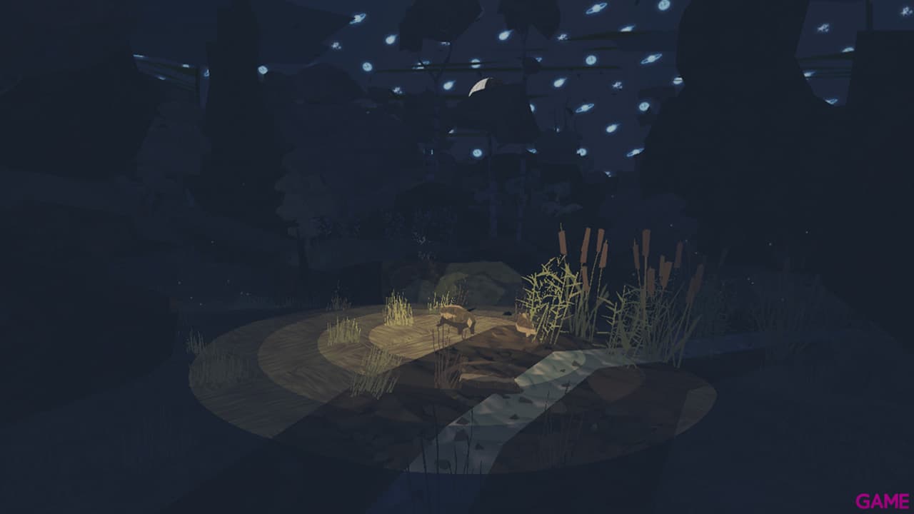 Shelter 1