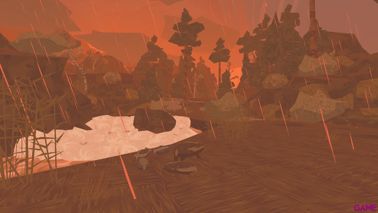 Shelter 1