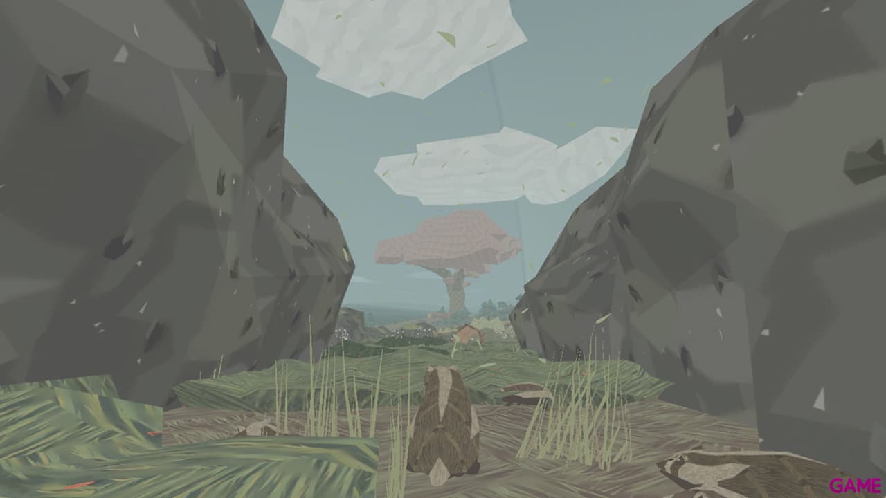 Shelter 1