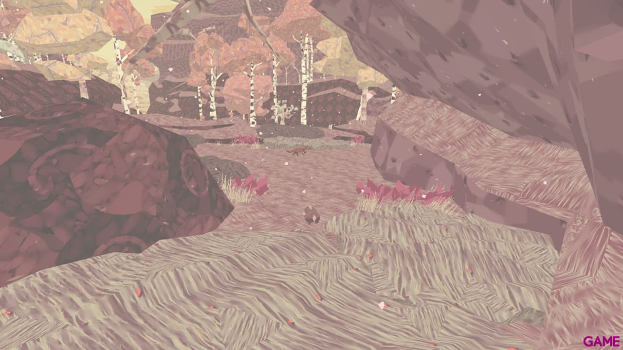 Shelter 1