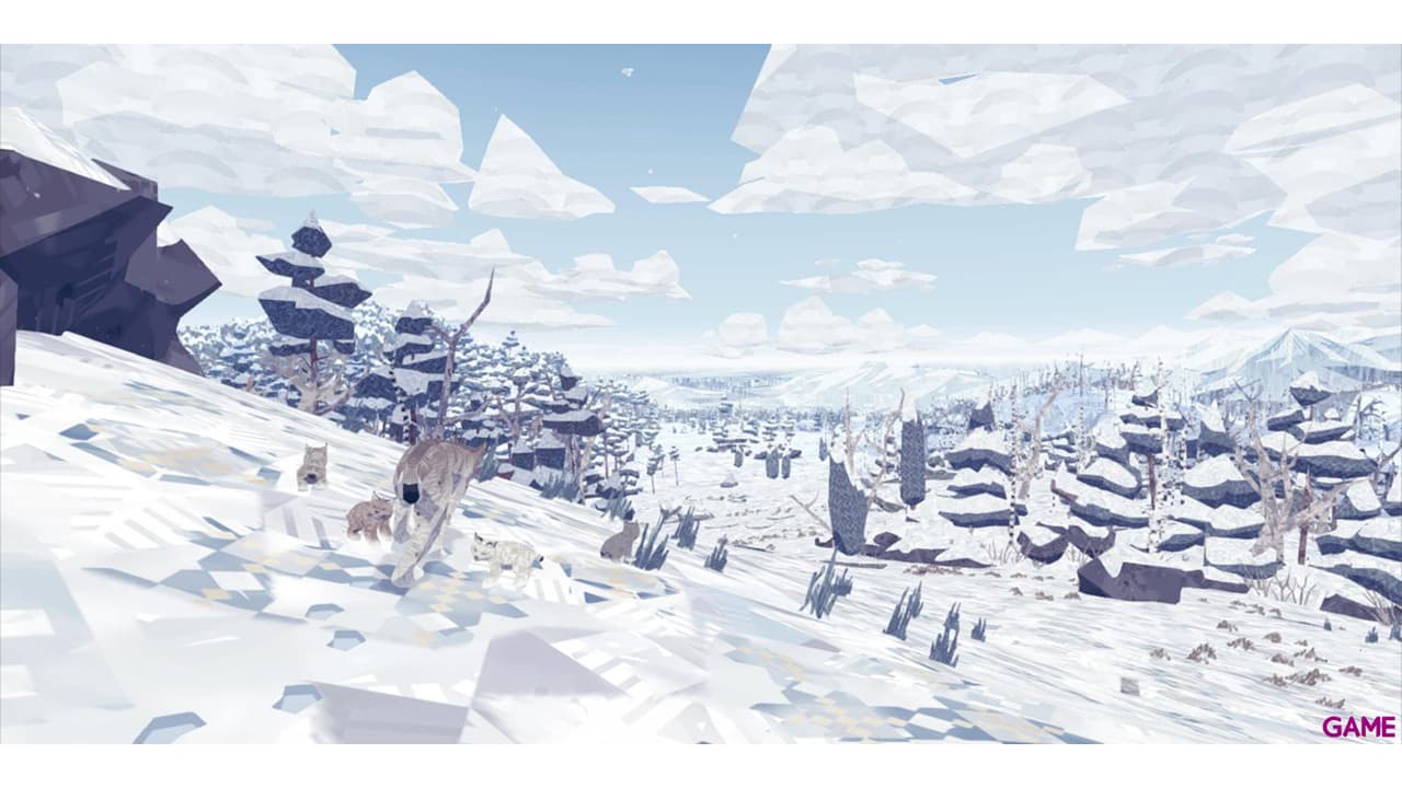 Shelter 2