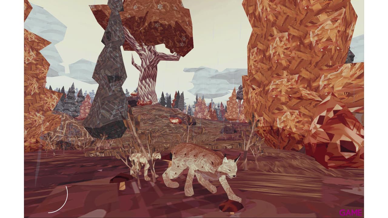 Shelter 2