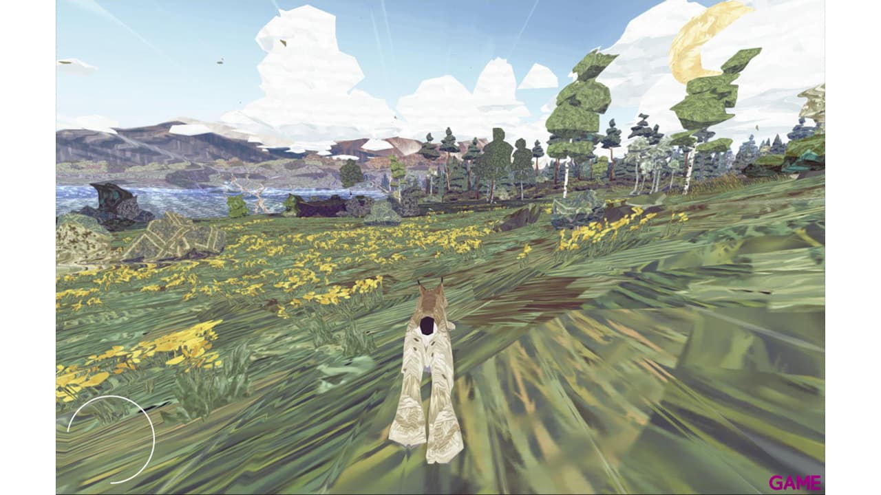 Shelter 2
