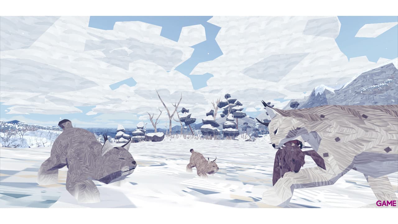 Shelter 2