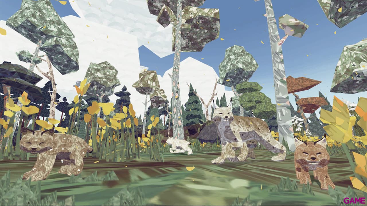 Shelter 2