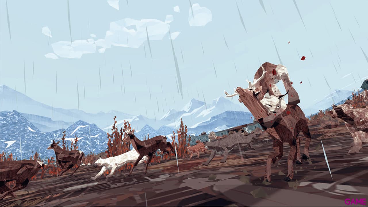 Shelter 2