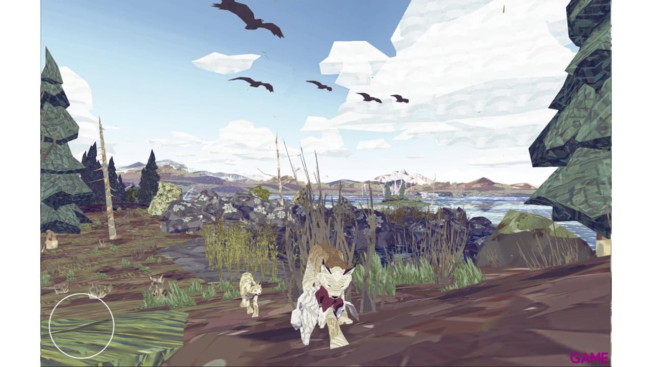 Shelter Complete Collection