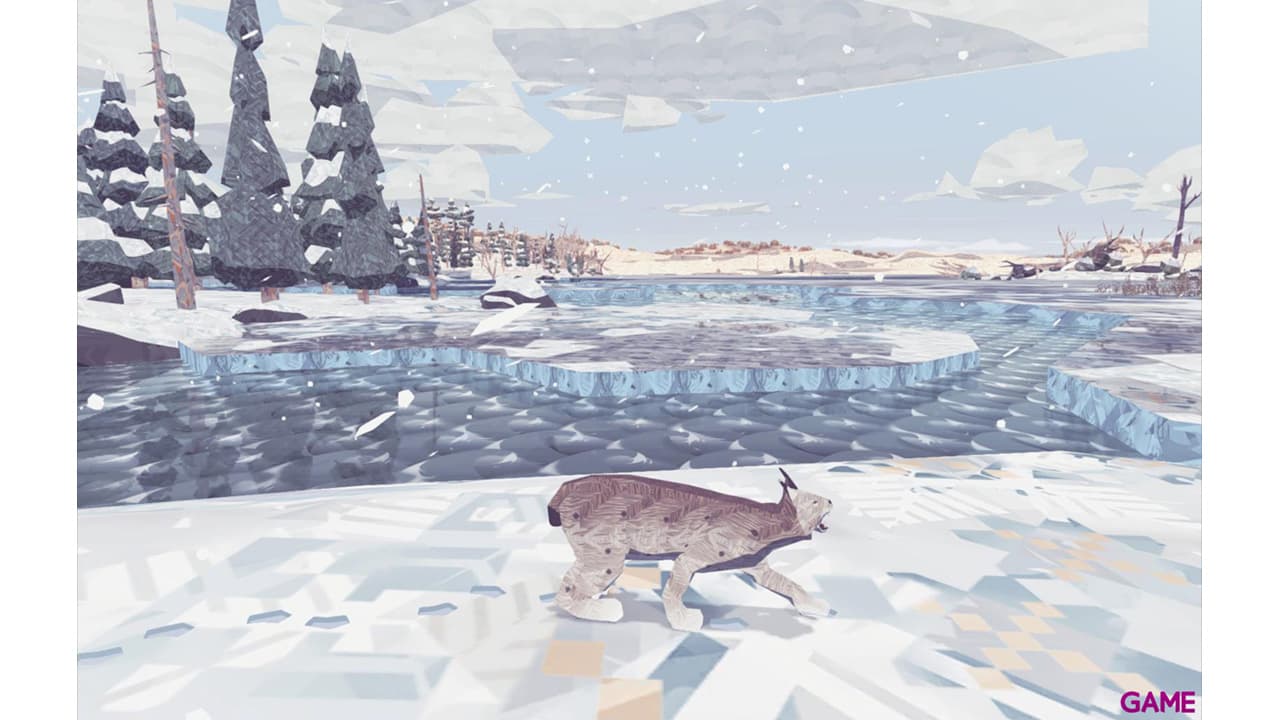 Shelter Complete Collection