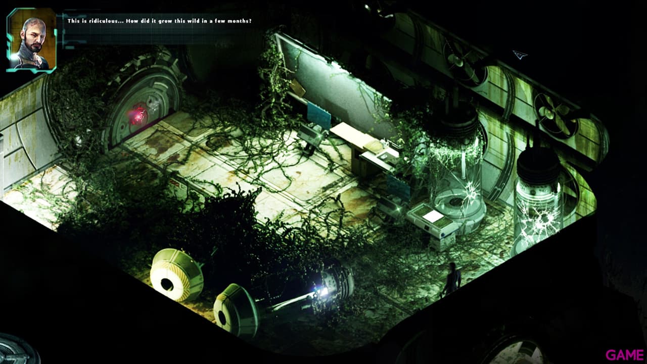 Stasis