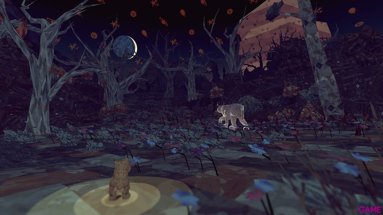 Paws: A Shelter 2 Game Pitter Patter Edition
