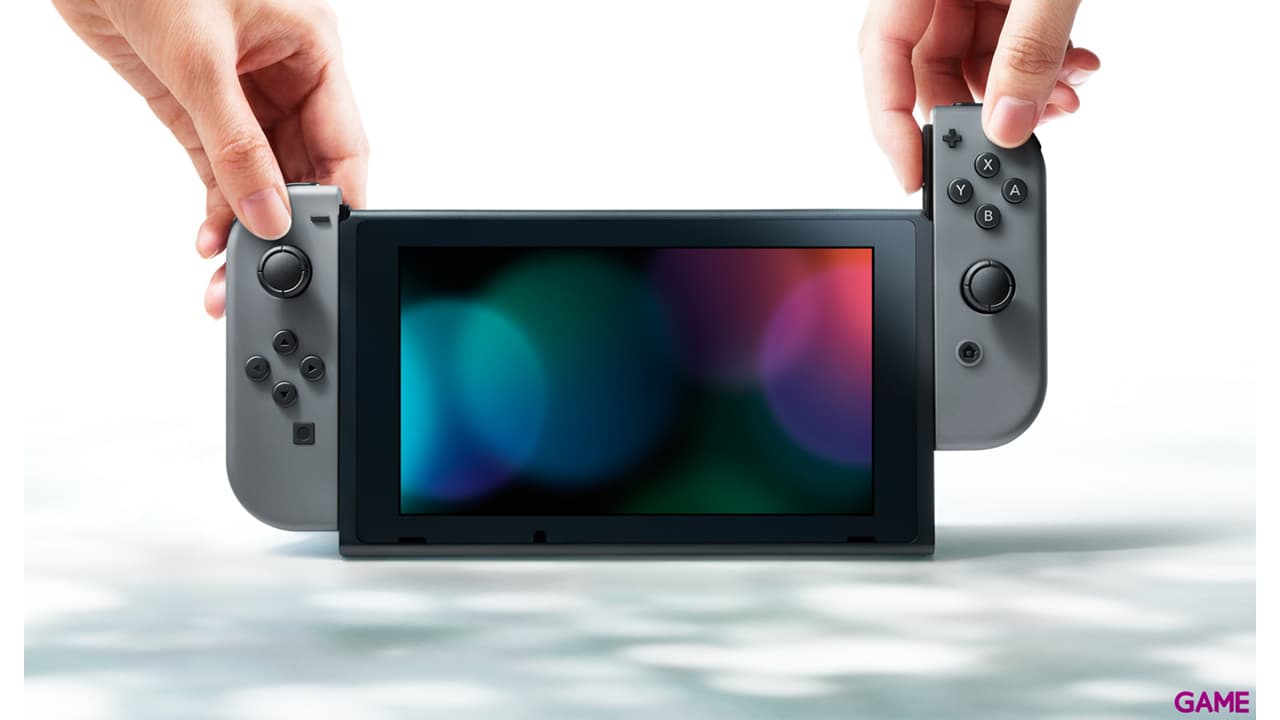 Nintendo Switch Gris