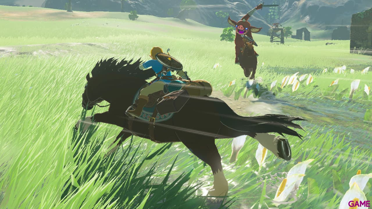 The Legend of Zelda: Breath of the Wild Nintendo Switch