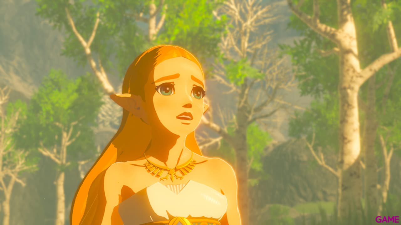 Zelda Breath of the Wild Expansion Pass - Switch
