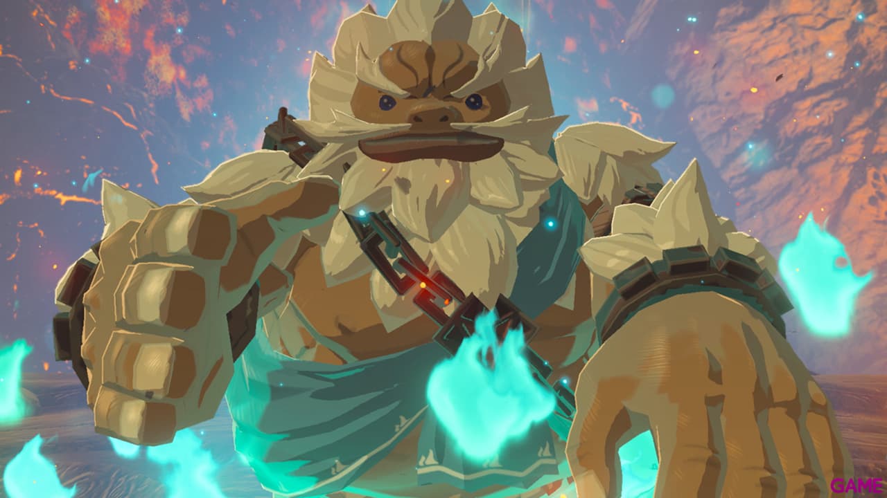 Zelda Breath of the Wild Expansion Pass - Switch