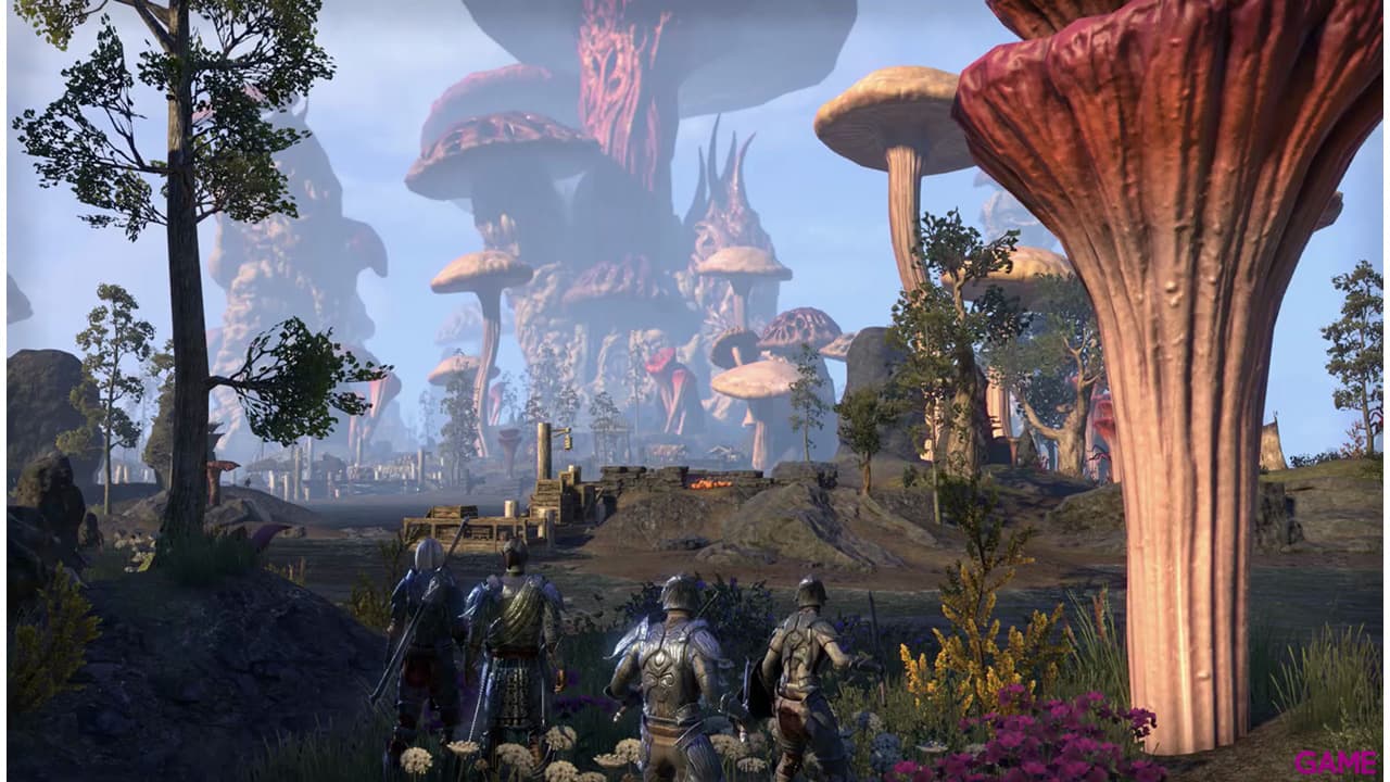 The Elder Scrolls Online: Morrowind Edic. Coleccionista