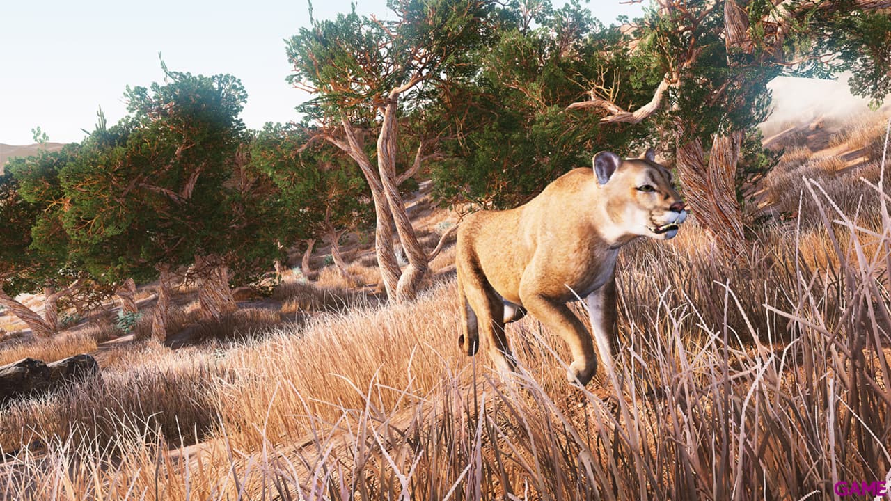Hunting Simulator