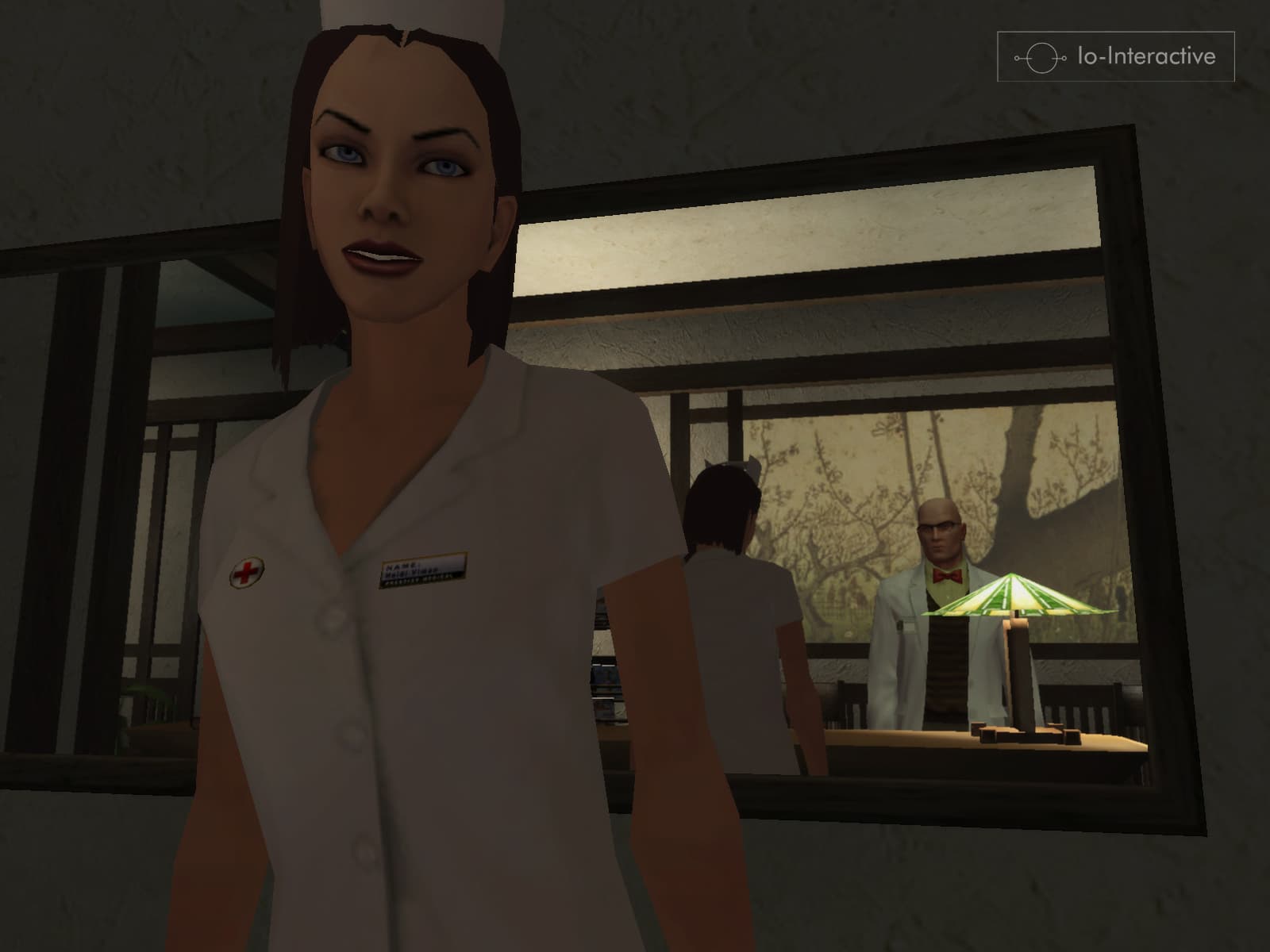 Hitman: Blood Money