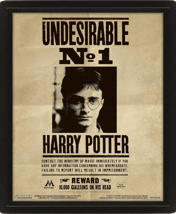 Cuadro 3D Harry Potter: Harry Potter y Sirius