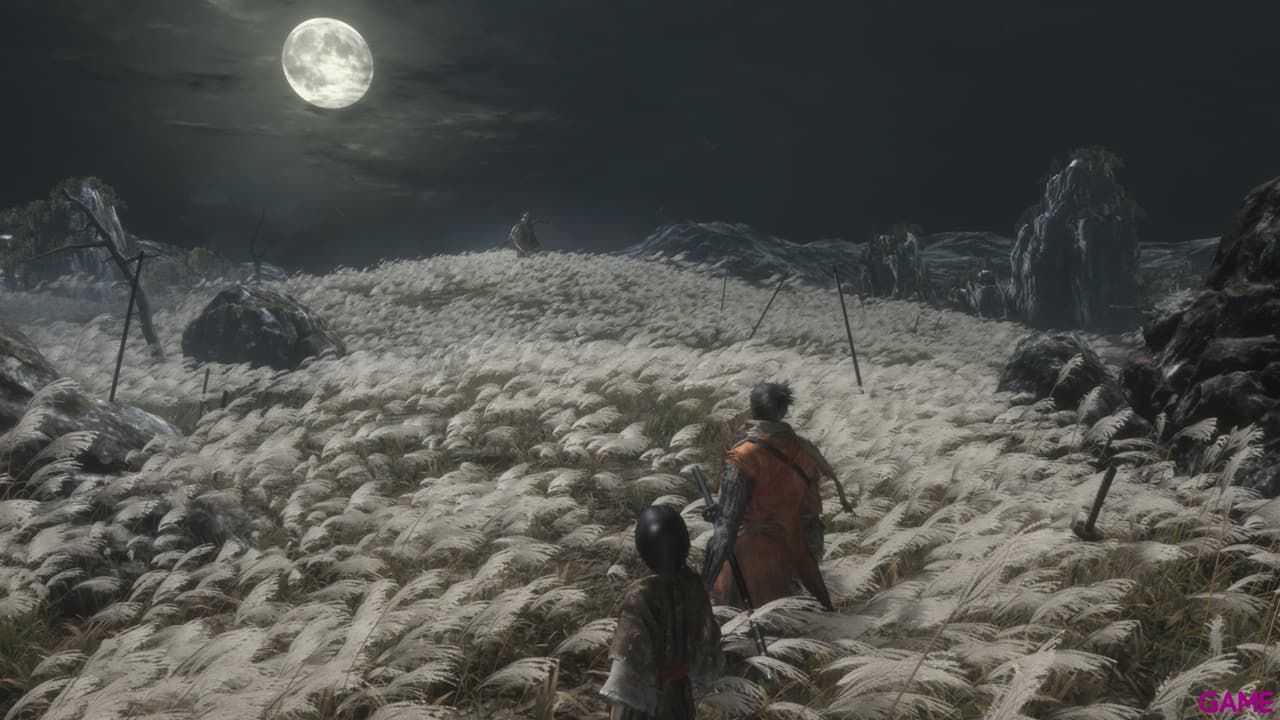 Sekiro - Shadows Die Twice Edición Coleccionista