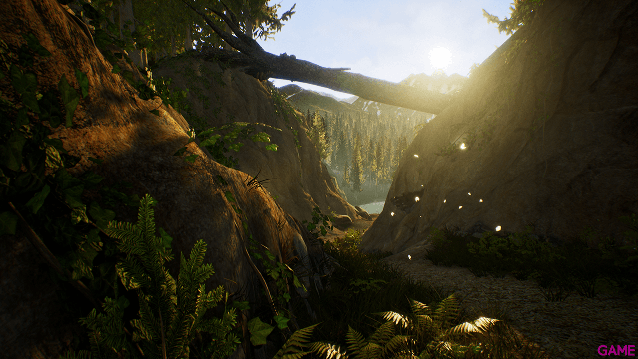 Treasure Hunter Simulator