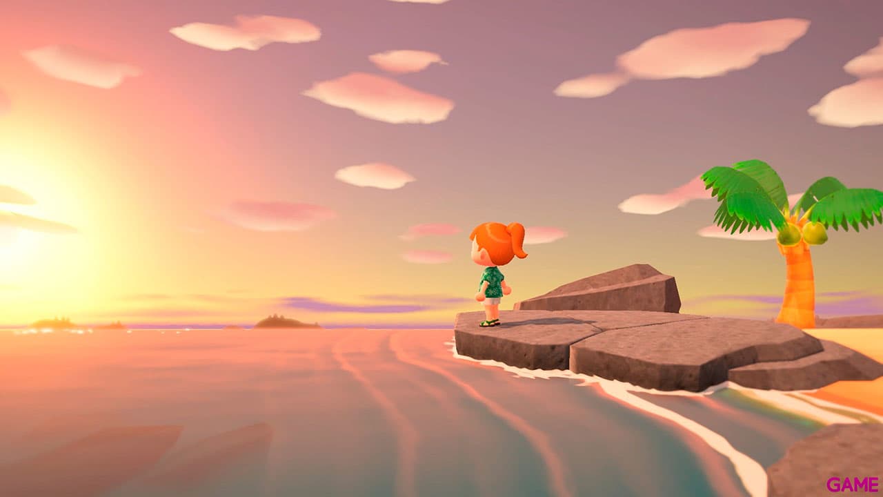 Animal Crossing: New Horizons Nintendo Switch