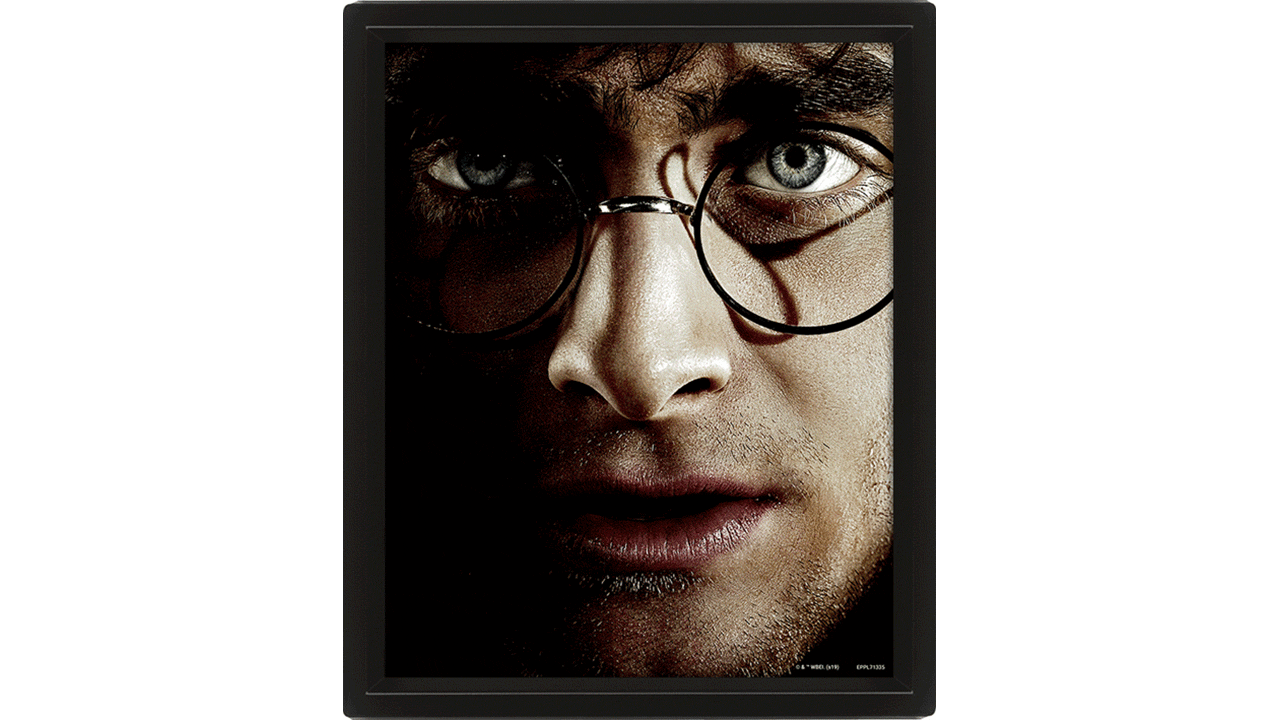 Cuadro 3D Harry Potter Voldemort