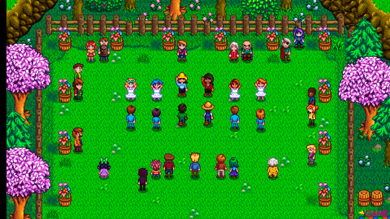 Stardew Valley Nintendo Switch