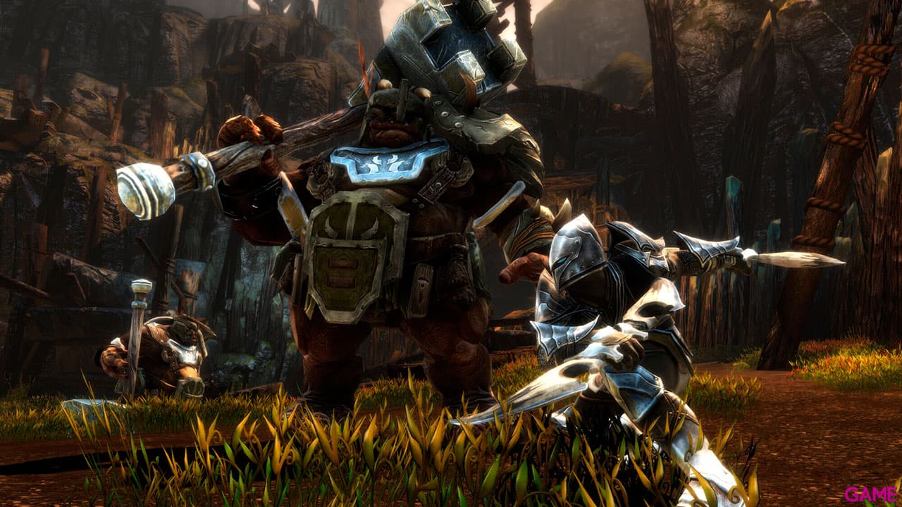 Kingdoms of Amalur Re-Reckoning