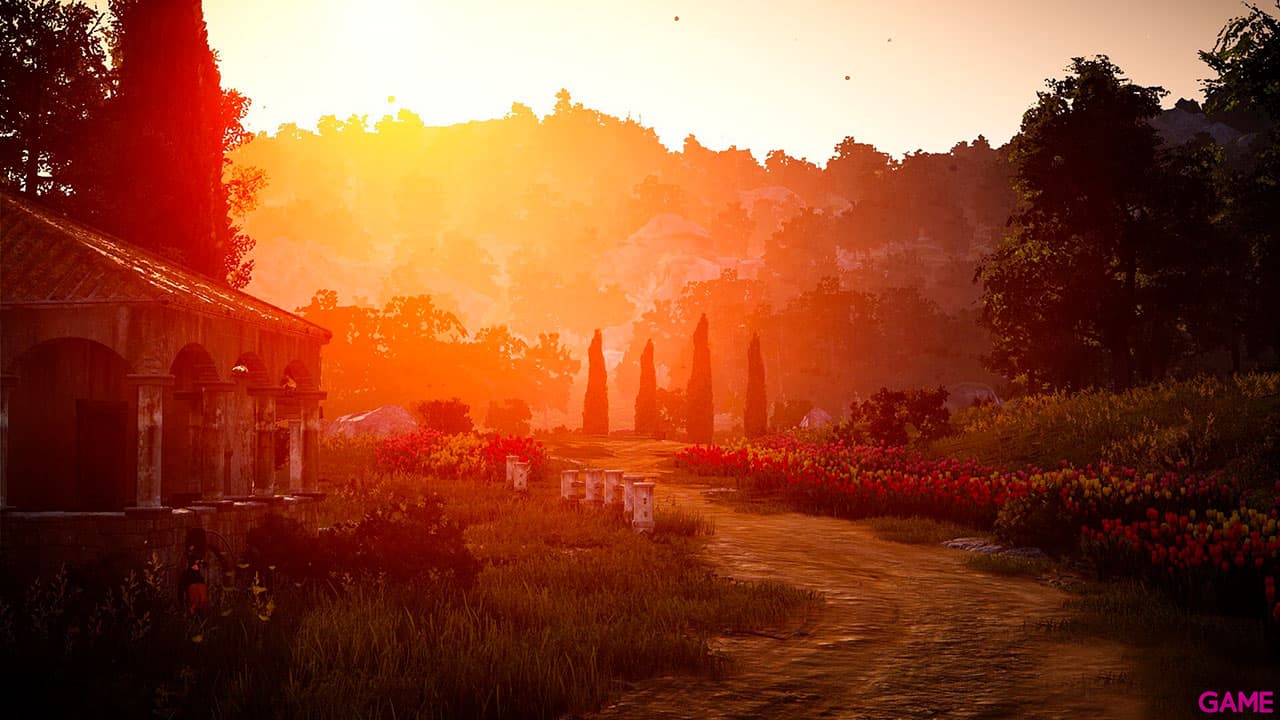 Black Desert Prestige Edition