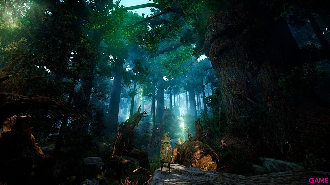 Black Desert Prestige Edition