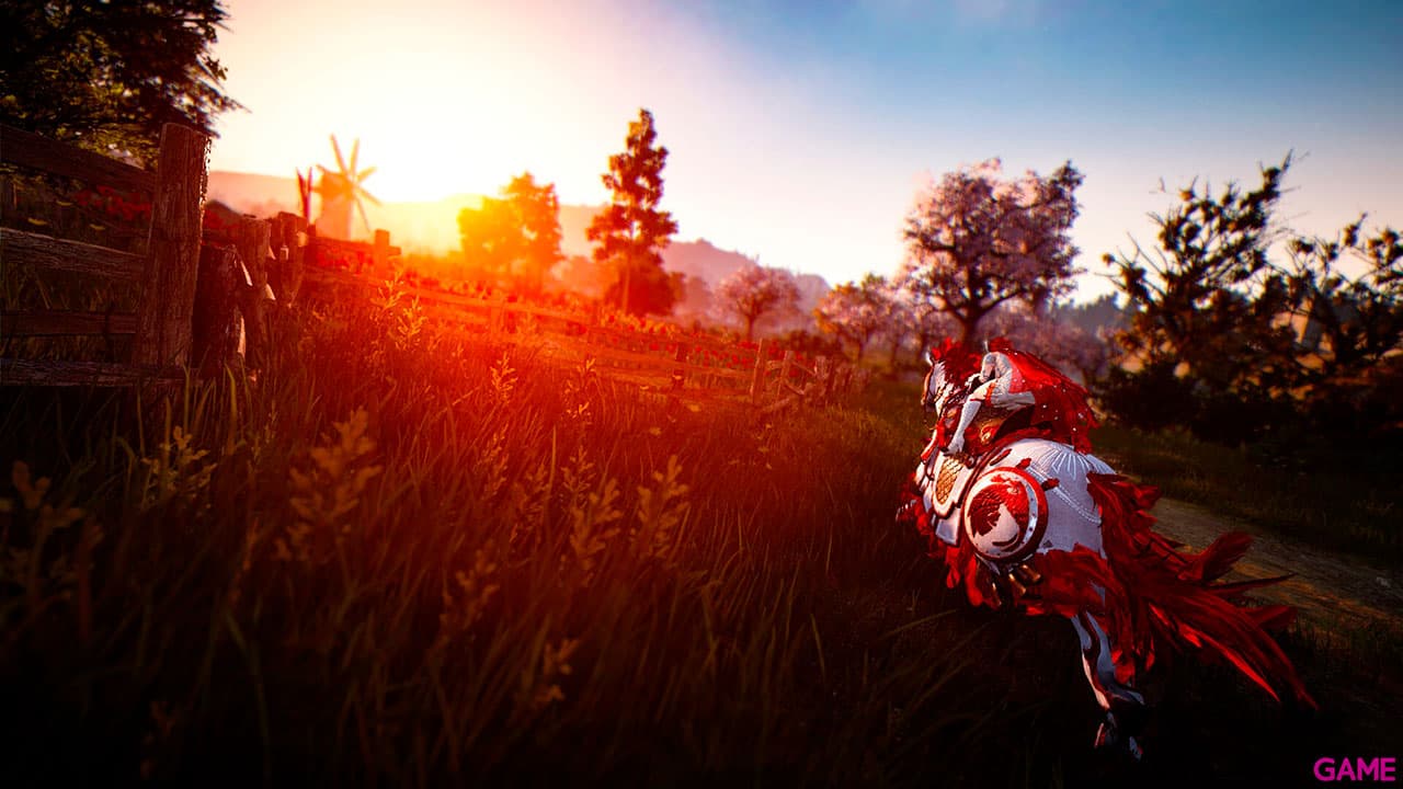 Black Desert Prestige Edition
