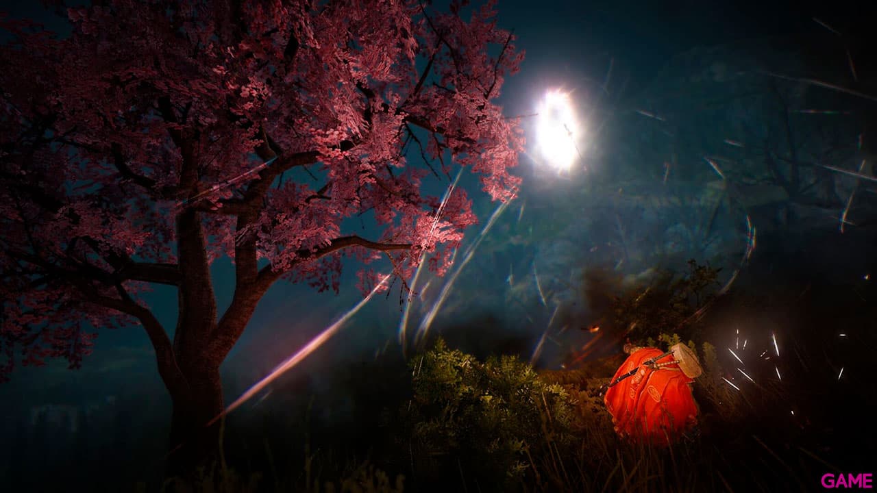 Black Desert Prestige Edition