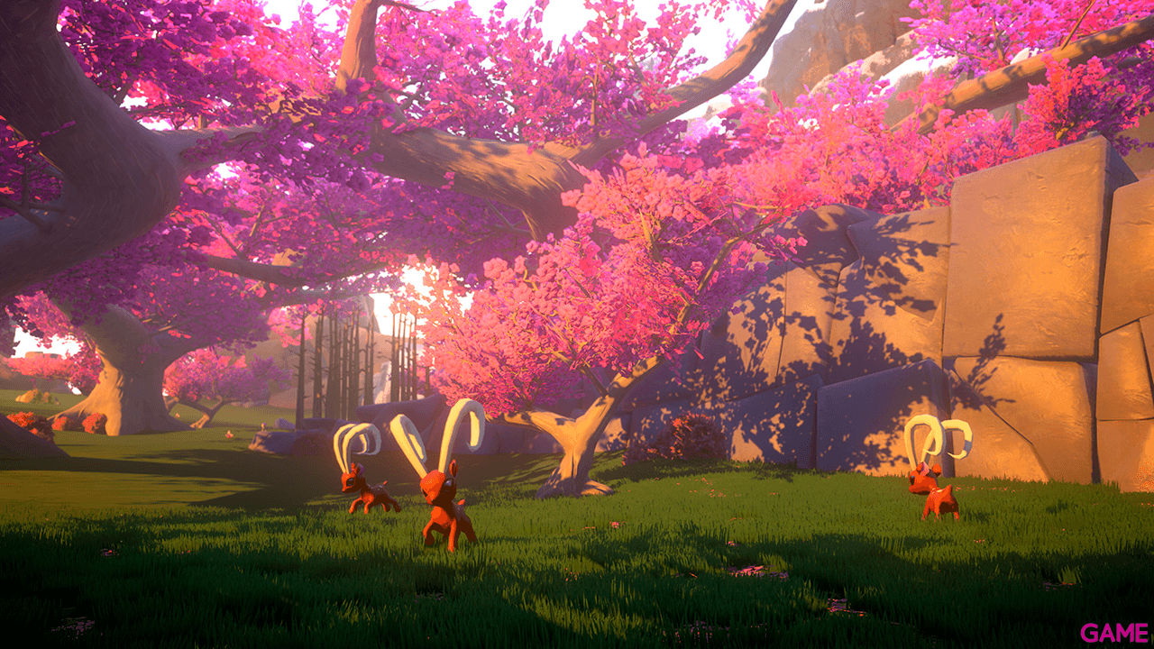 Yonder The Cloud Catcher Chronicles - Signature Edition