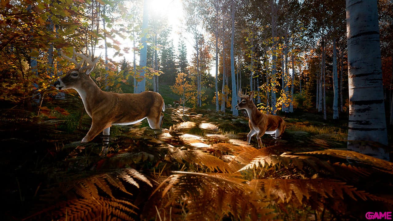 Hunting Simulator 2 PS5
