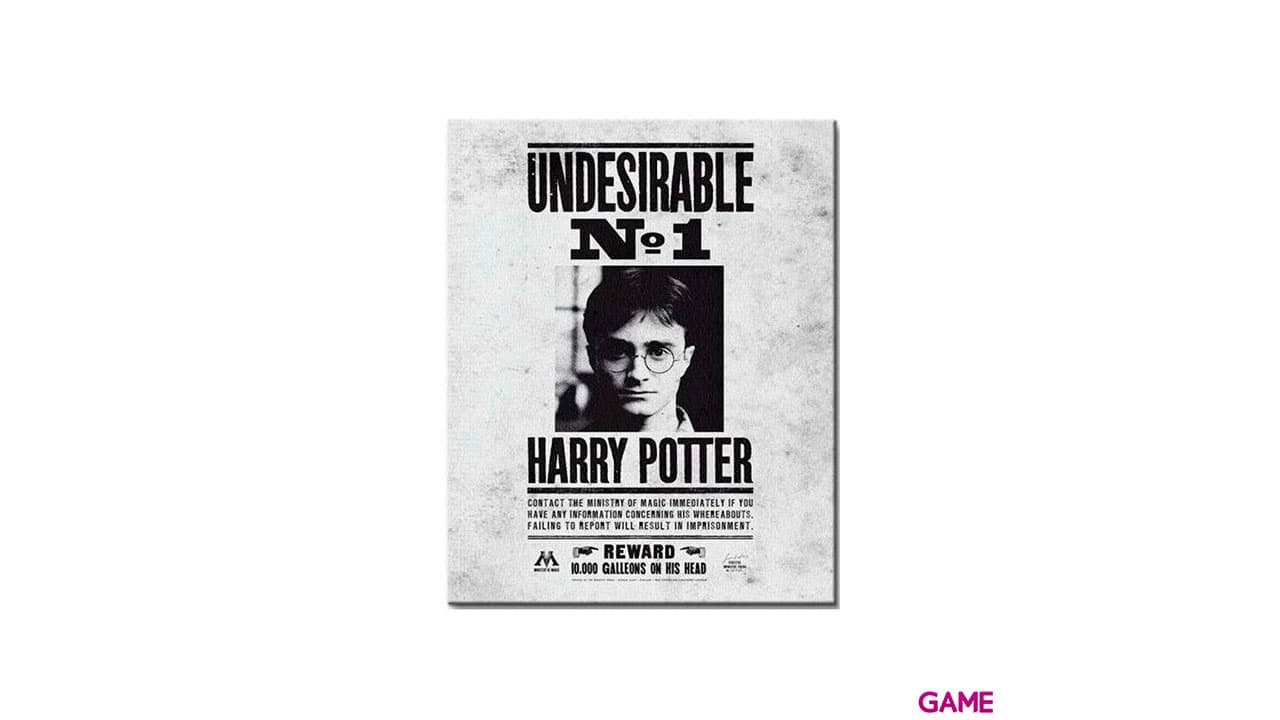 Lienzo 30x40 Harry Potter: Indeseable nº 1