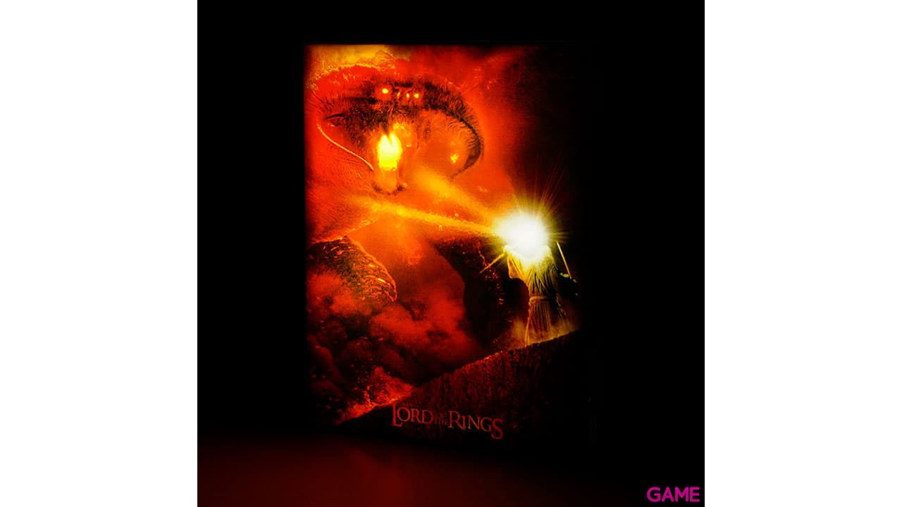Lienzo con Iluminación 30x40cm El Señor de los Anillos: Gandalf vs Balrog