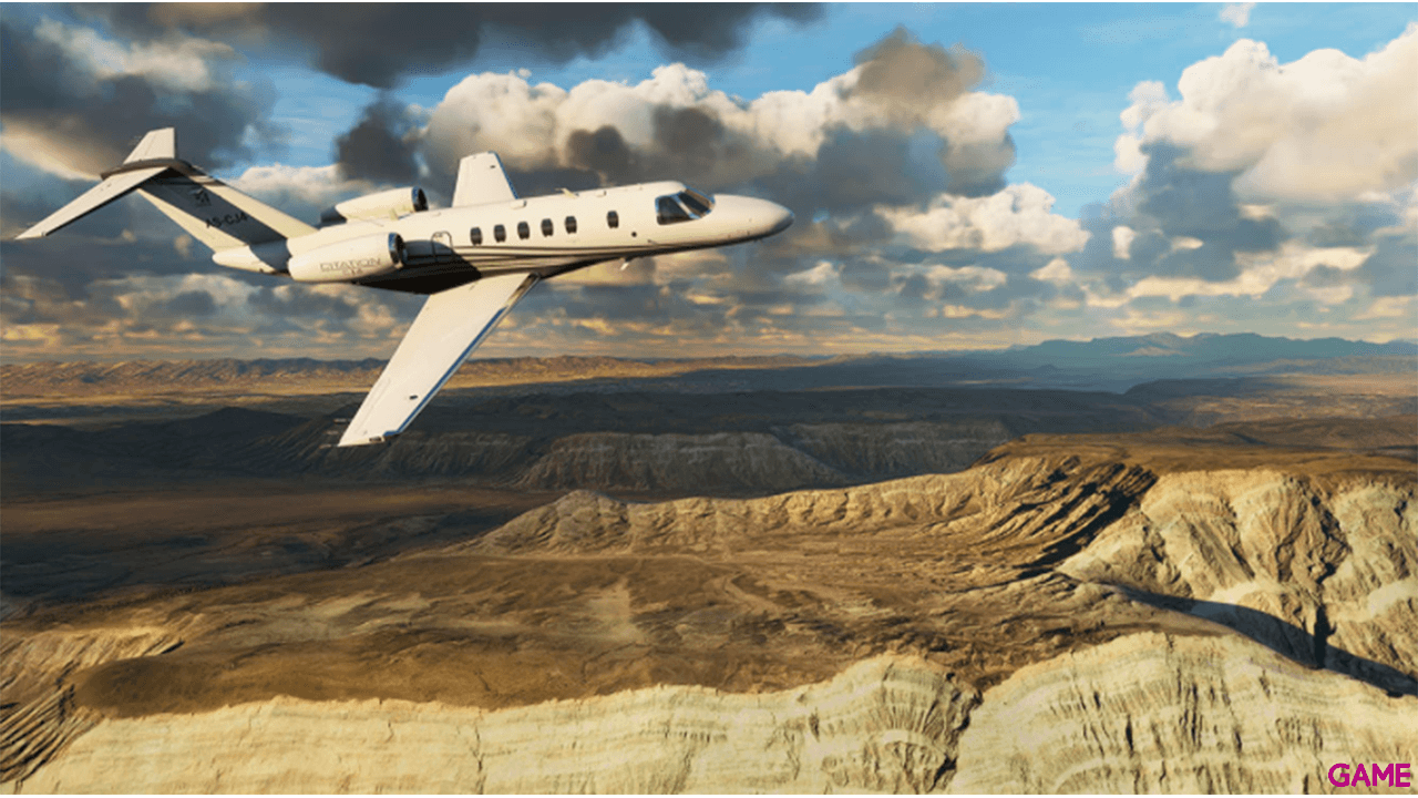 Microsoft Flight Simulator