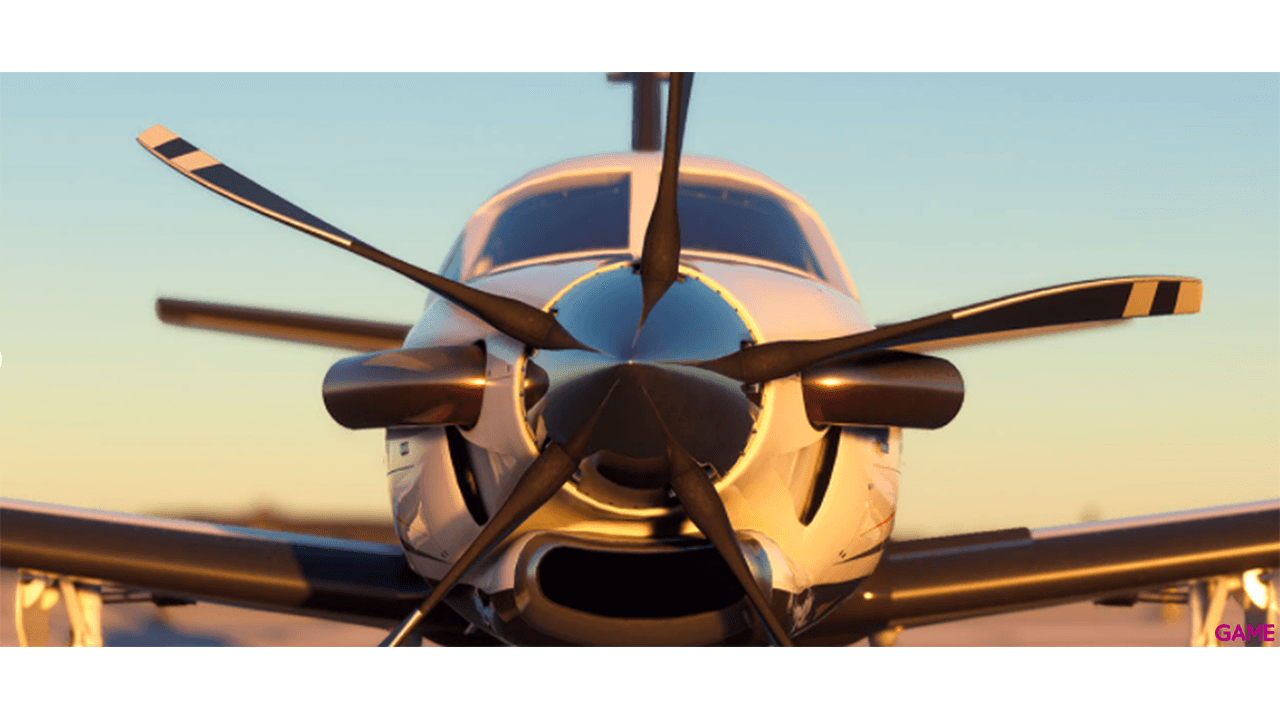 Microsoft Flight Simulator