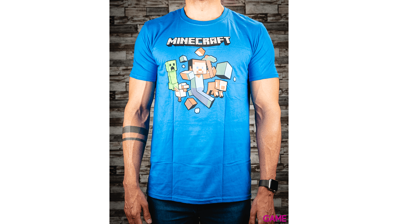 Minecraft Starter Collection Refresh PS4