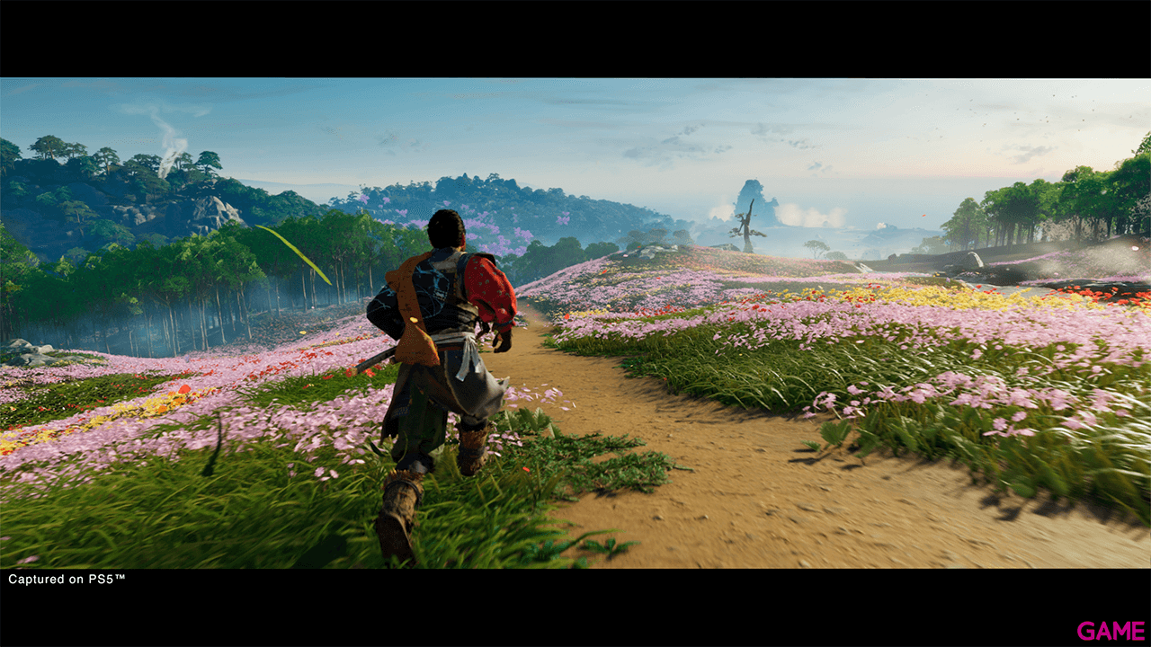 Ghost of Tsushima: Director´s Cut PS4