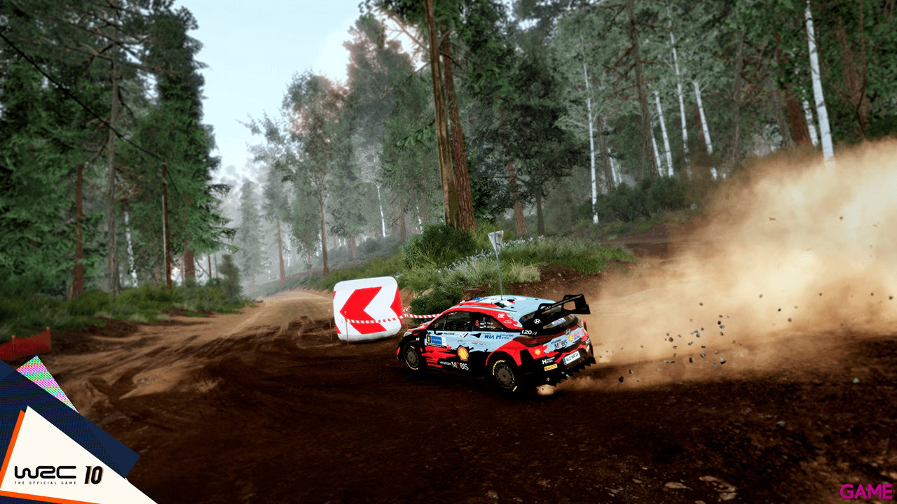 WRC 10