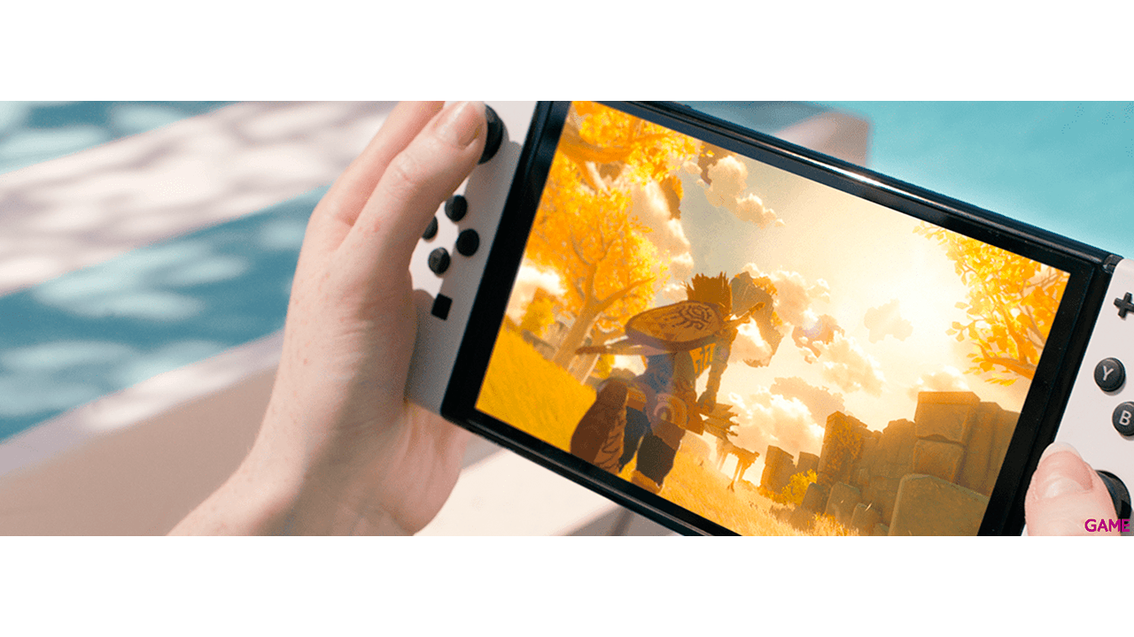 Nintendo Switch Oled Neon
