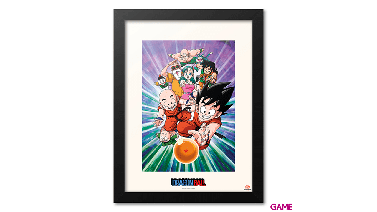 Lienzo 30x40 cm Dragon Ball Z: Team