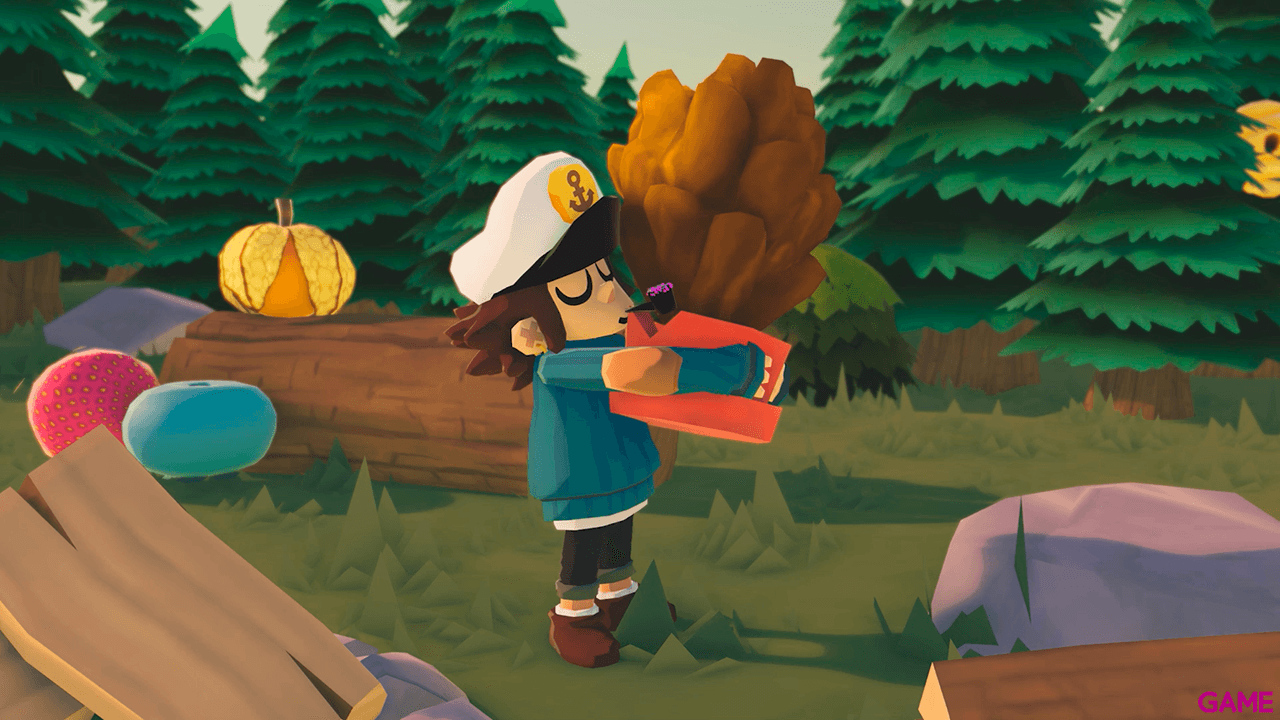 Time on Frog Island