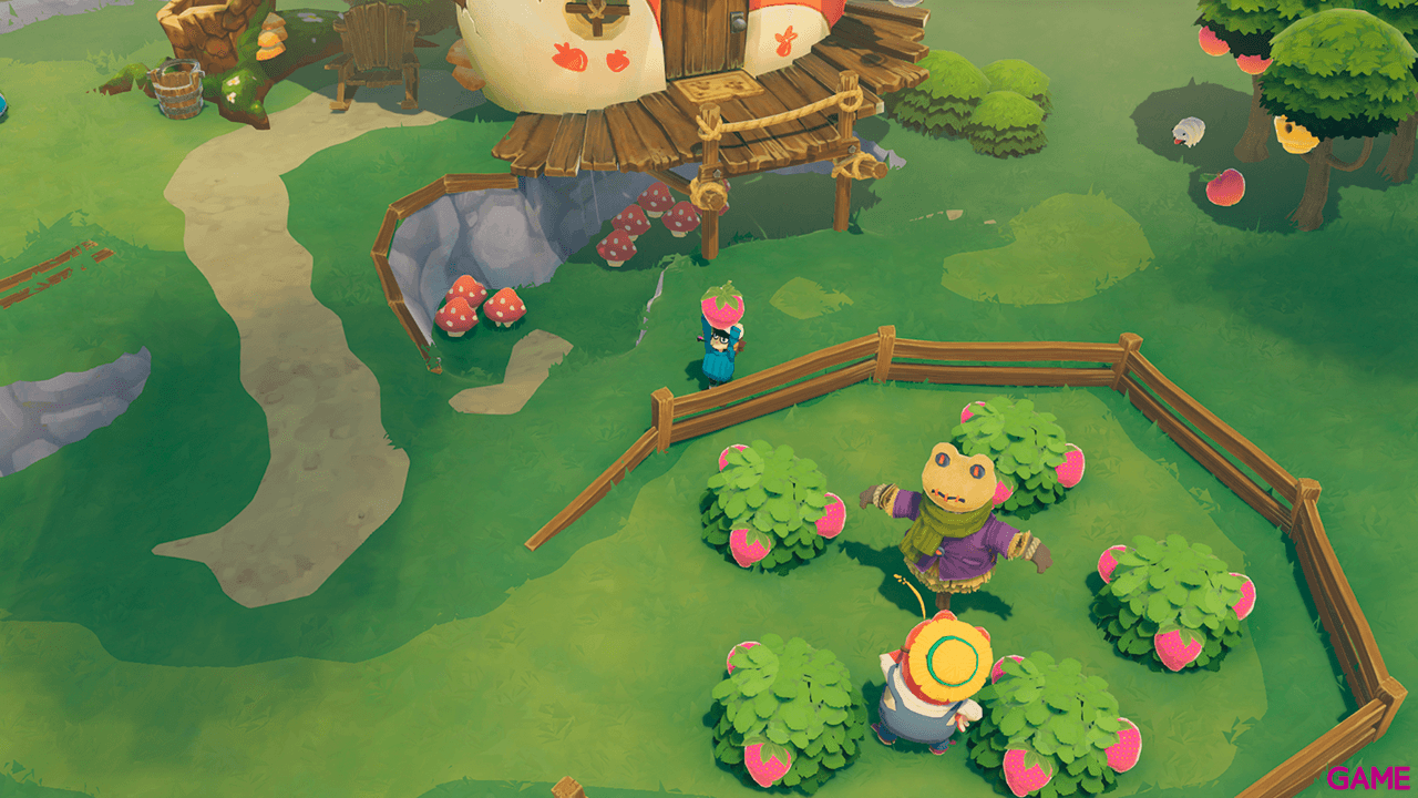 Time on Frog Island Nintendo Switch