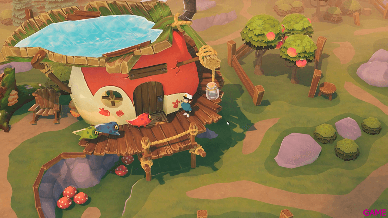 Time on Frog Island Nintendo Switch