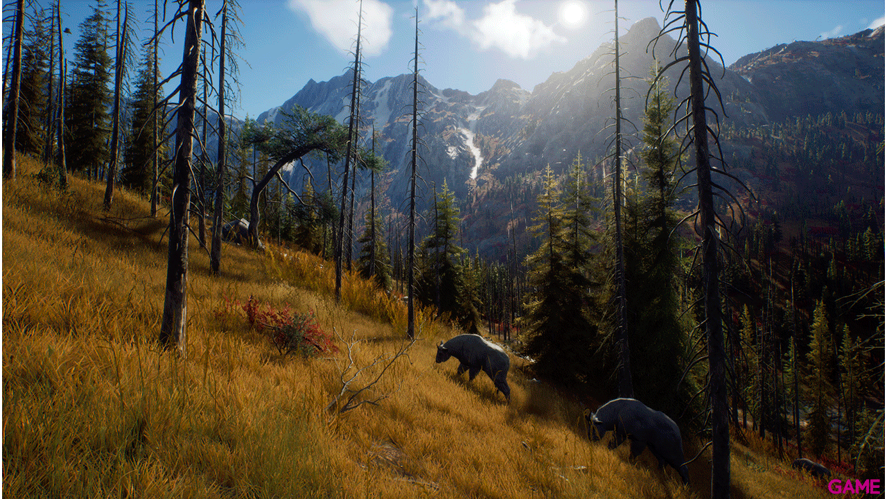 Way of the Hunter