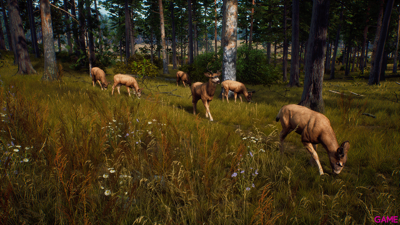 Way of the Hunter