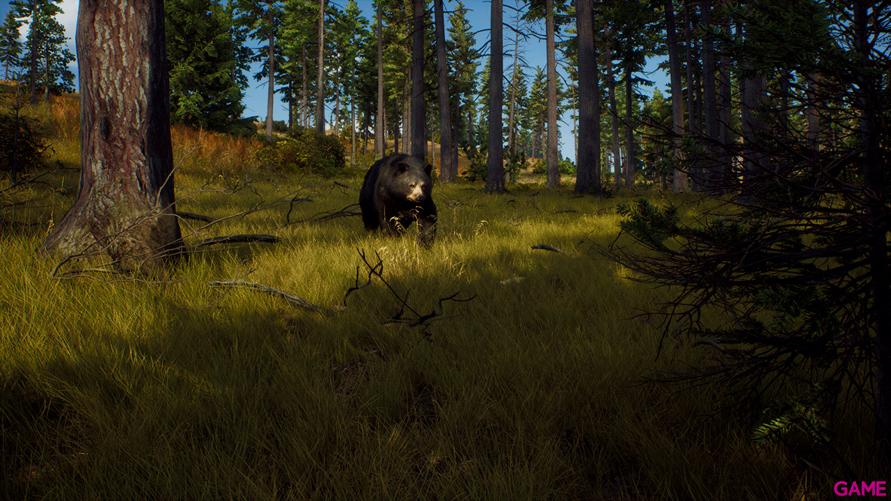 Way of the Hunter