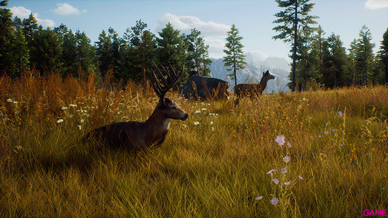 Way of the Hunter